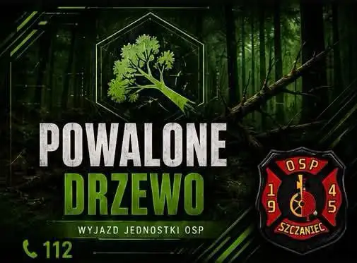 Drzewo na drodze w Myszęcinie – interwencja OSP Szczaniec