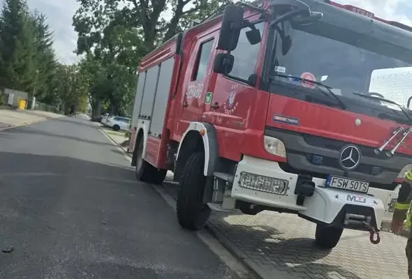OSP Zbąszynek usuwa gniazdo szerszeni – interwencja w Zbąszynku