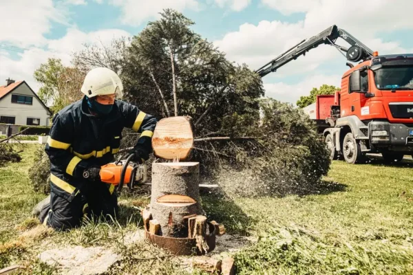 Zwisająca gałąź nad drogą wojewódzką 277 – interwencja OSP Skąpe
