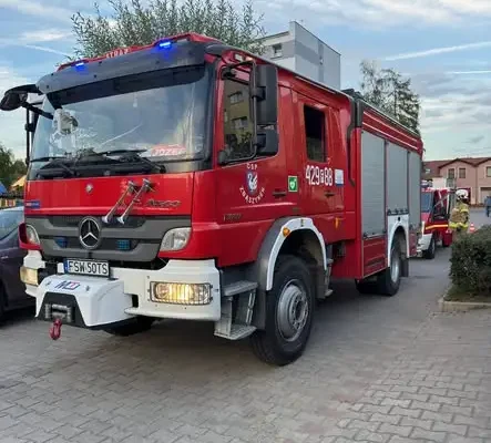 Interwencja strażaków w Zbąszynku: usuwanie gniazda szerszeni z placu zabaw