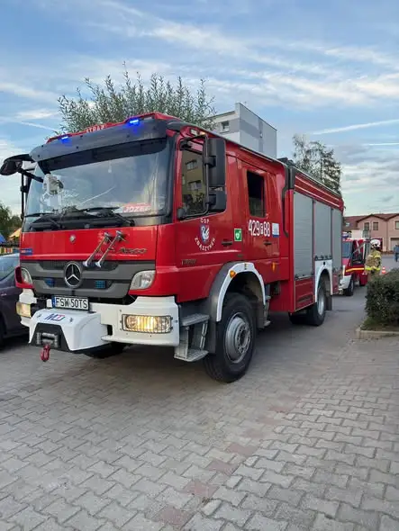 Interwencja strażaków w Zbąszynku: usuwanie gniazda szerszeni z placu zabaw