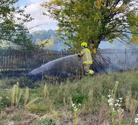 Pożar trawy i krzaków w Szczańcu – interwencja OSP